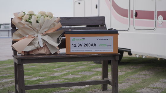 voltio de energía solar Marine Rv Battery del almacenamiento 12 del campista de la batería del barco de 12.8V 100ah 200ah Lifepo4